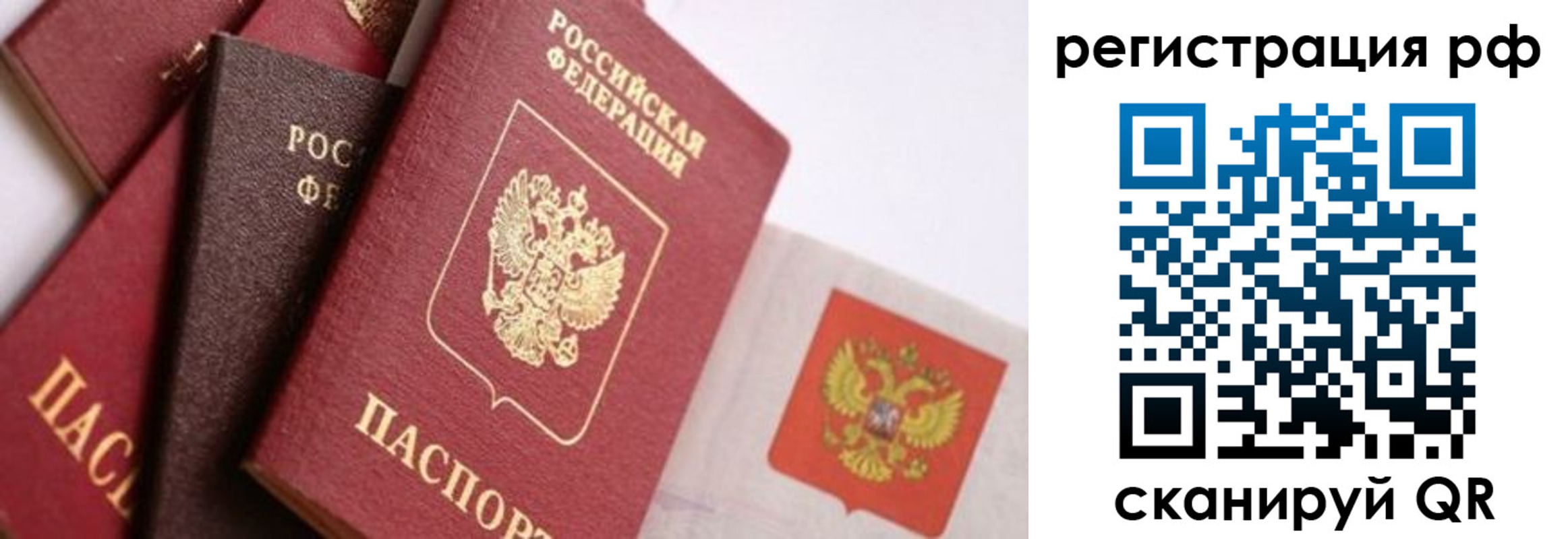 временная регистрация купить в Льгове